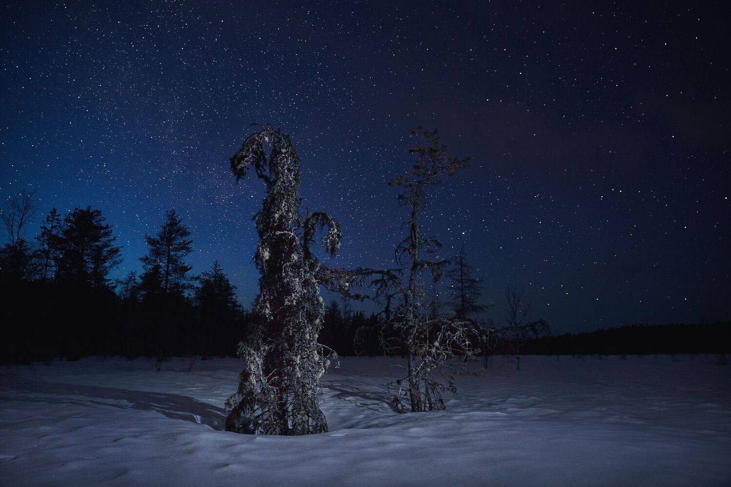 звезды, пейзаж, зима, снег, ночь, лес, landscape, stars, sky, night, Иван Чаланов