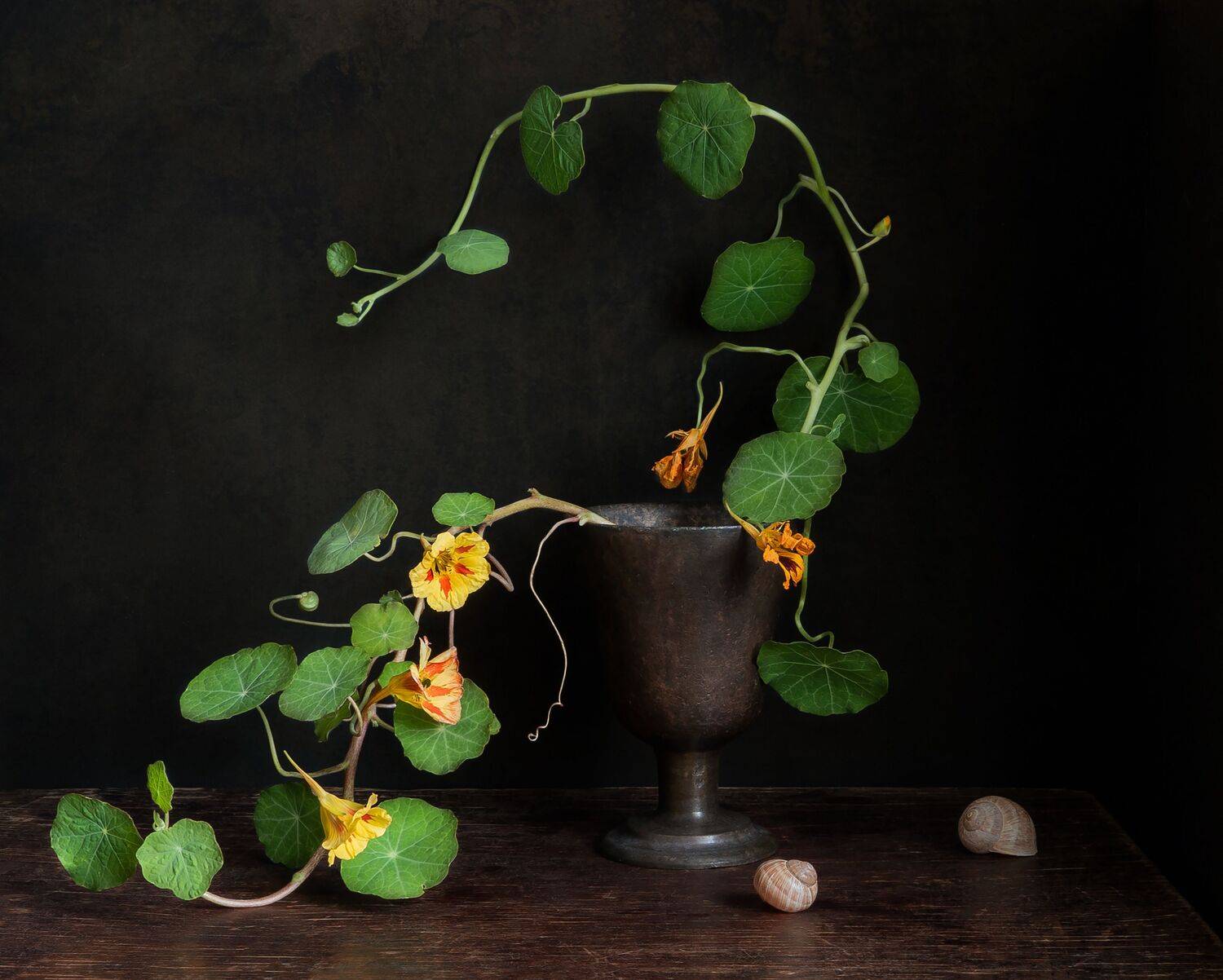 , Тришина Галина