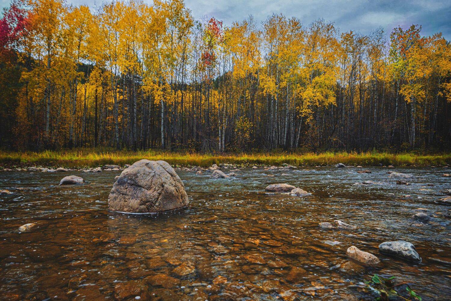 , Антонов Антон