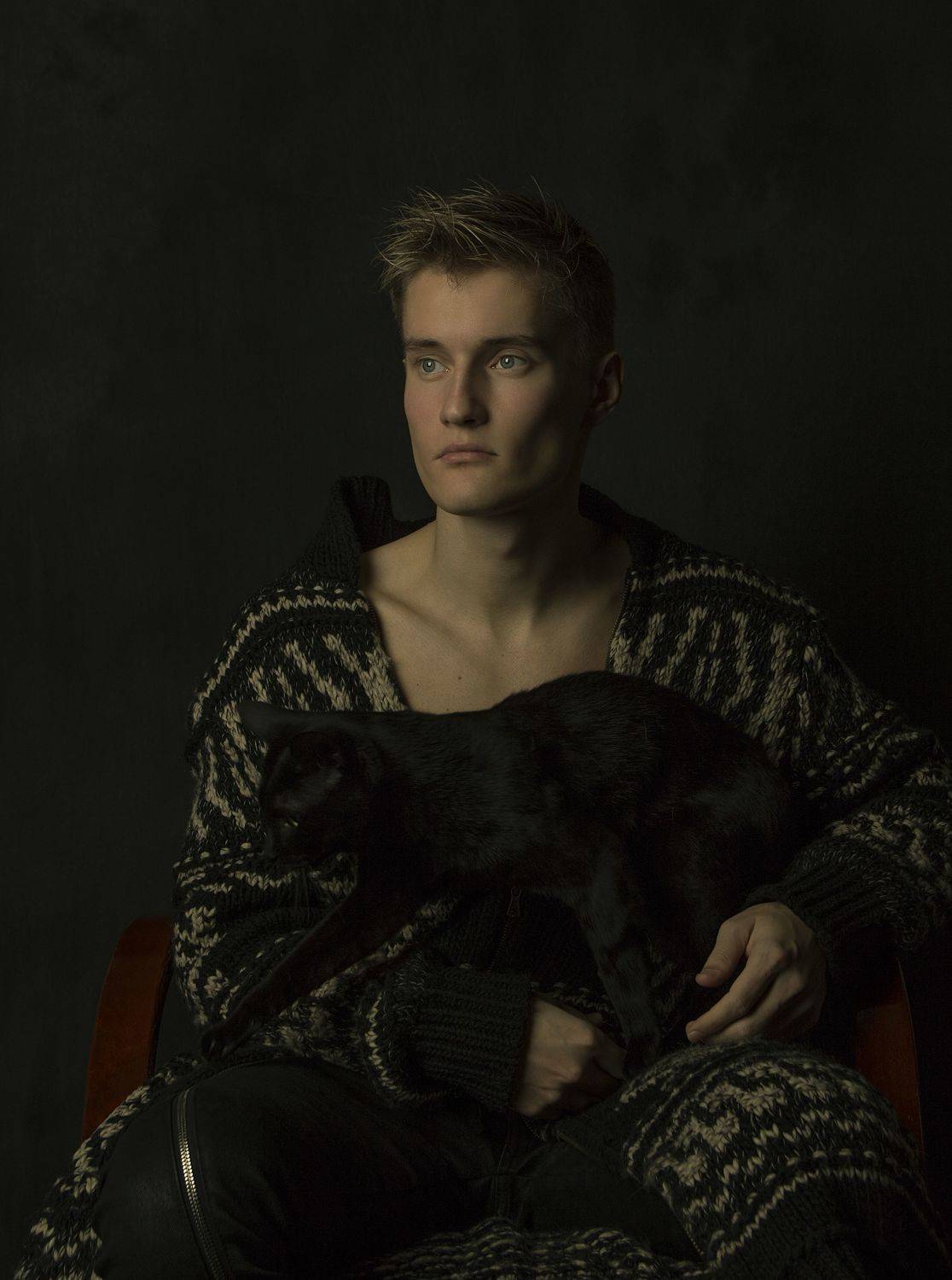 Портрет,кот,фамильяр,Друг,ночь, лицо, свет,тень, Александр Замятин