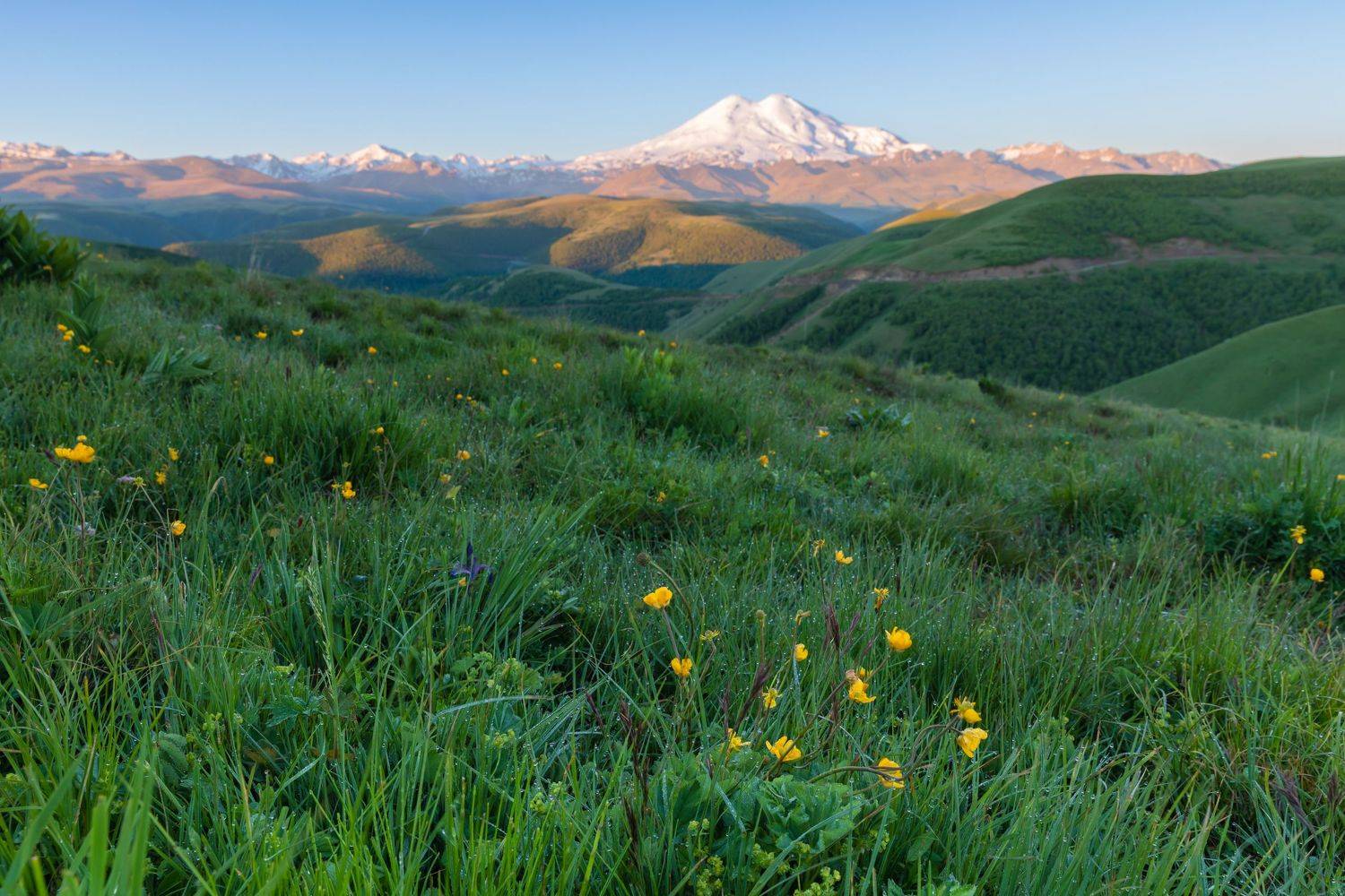 , Евгения Чех