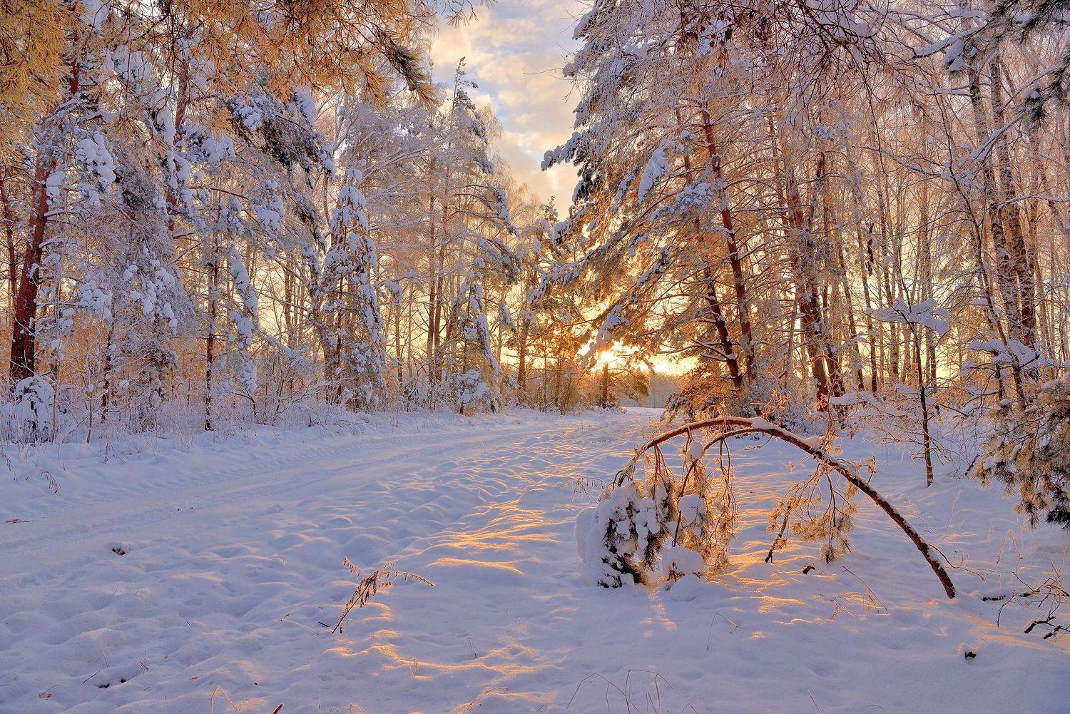 , Руслан Авдевич