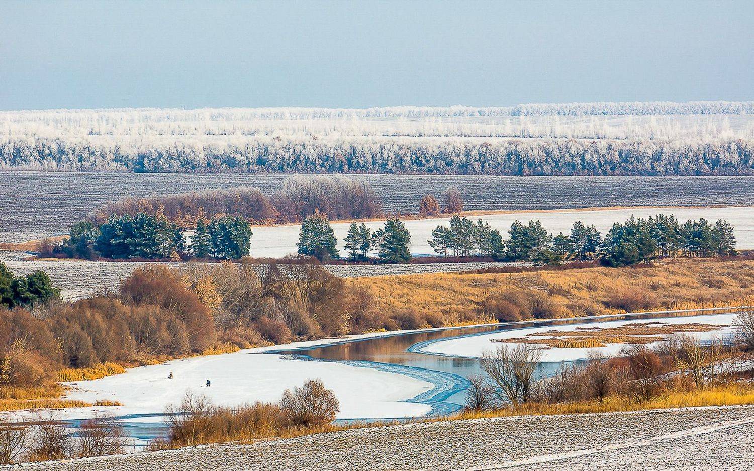 зима, декабрь, река быстрая сосна,, Николай Бологов