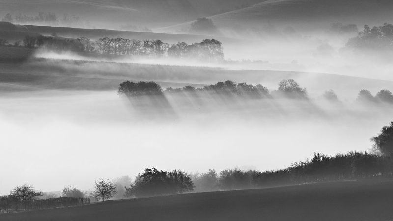 Morning фото превью