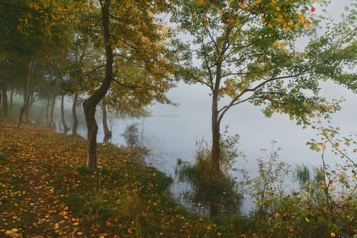 , Алиева Татьяна