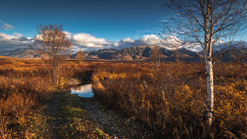 природа камчатского края,ганальская тундра ... фото превью