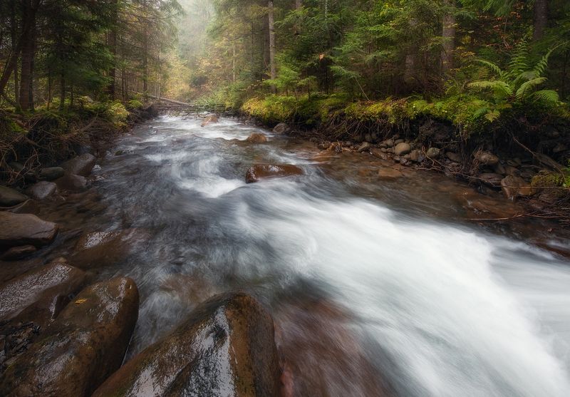крпаты Поток фото превью