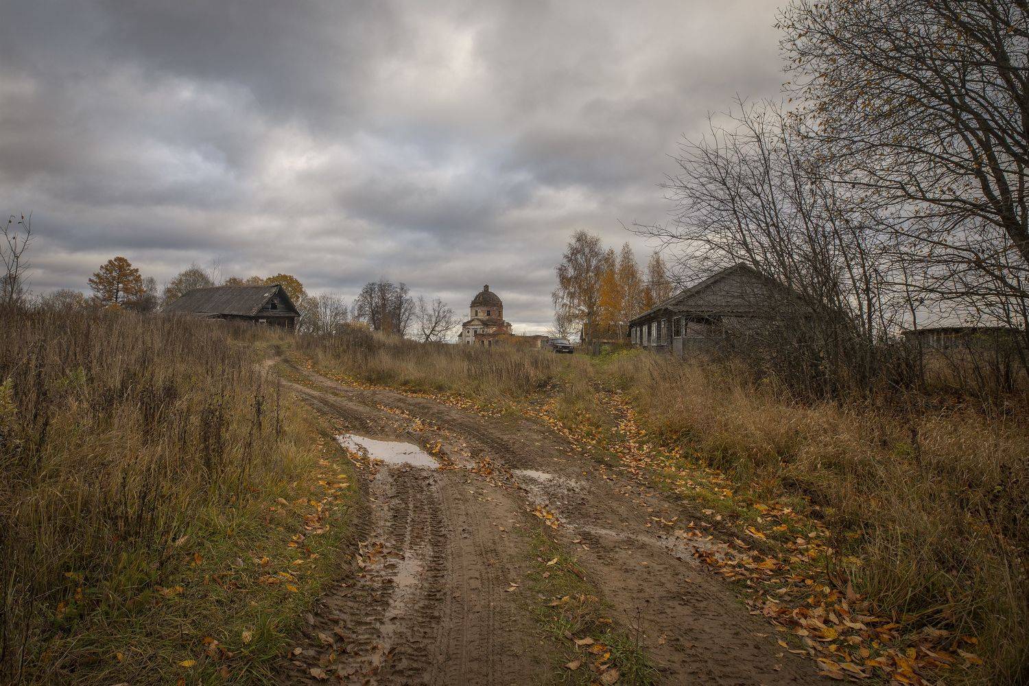 тверская область, Гусева Елена