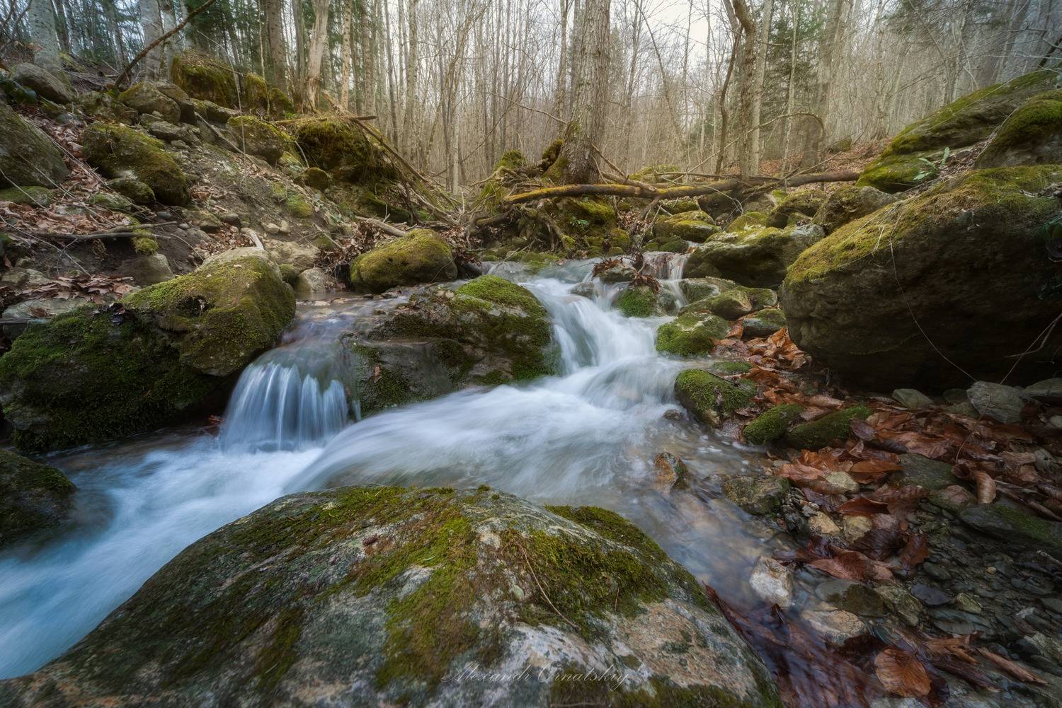 , Alexander Ornatskiy