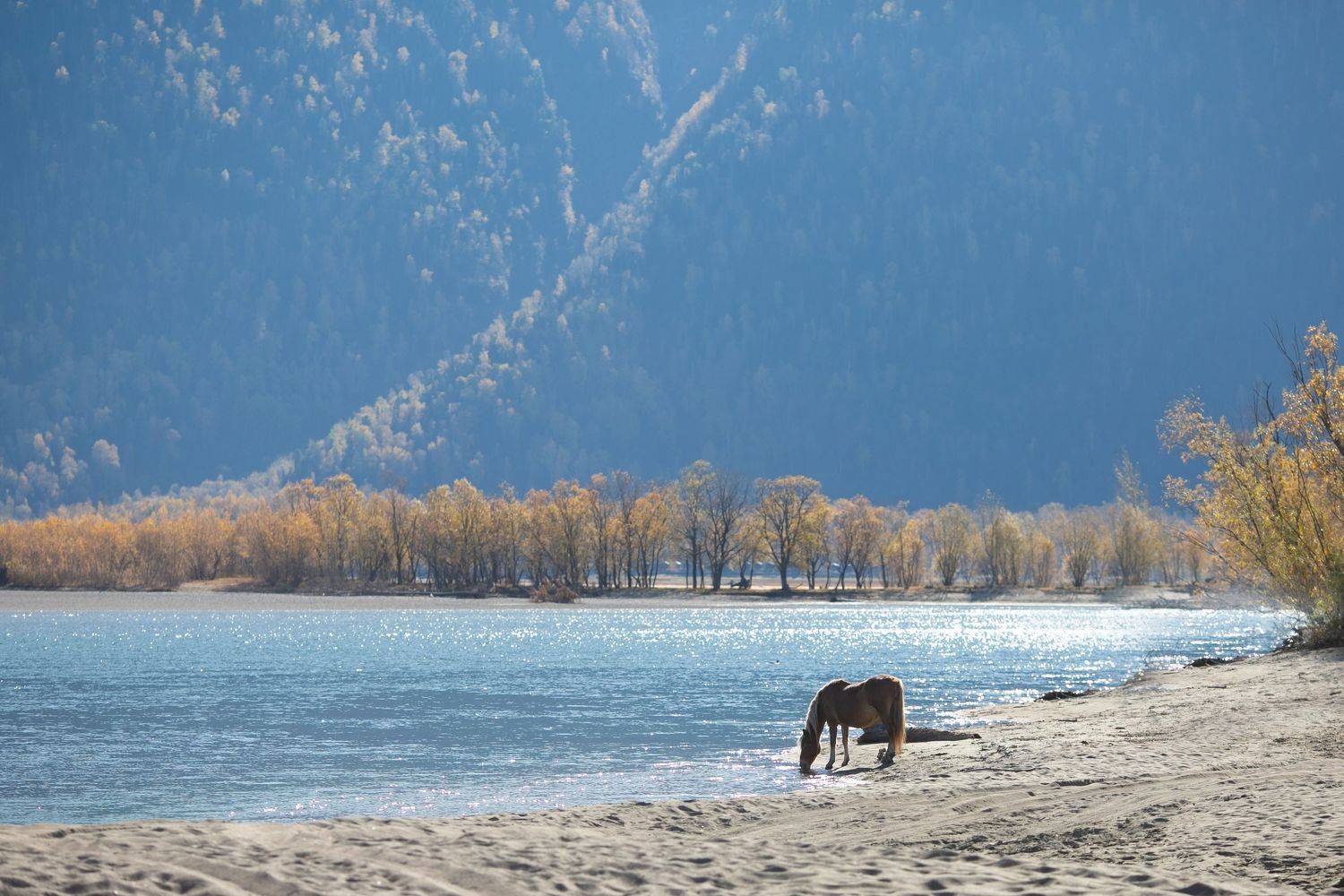 , Константин Буркин
