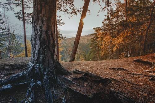 Столбы. Осень