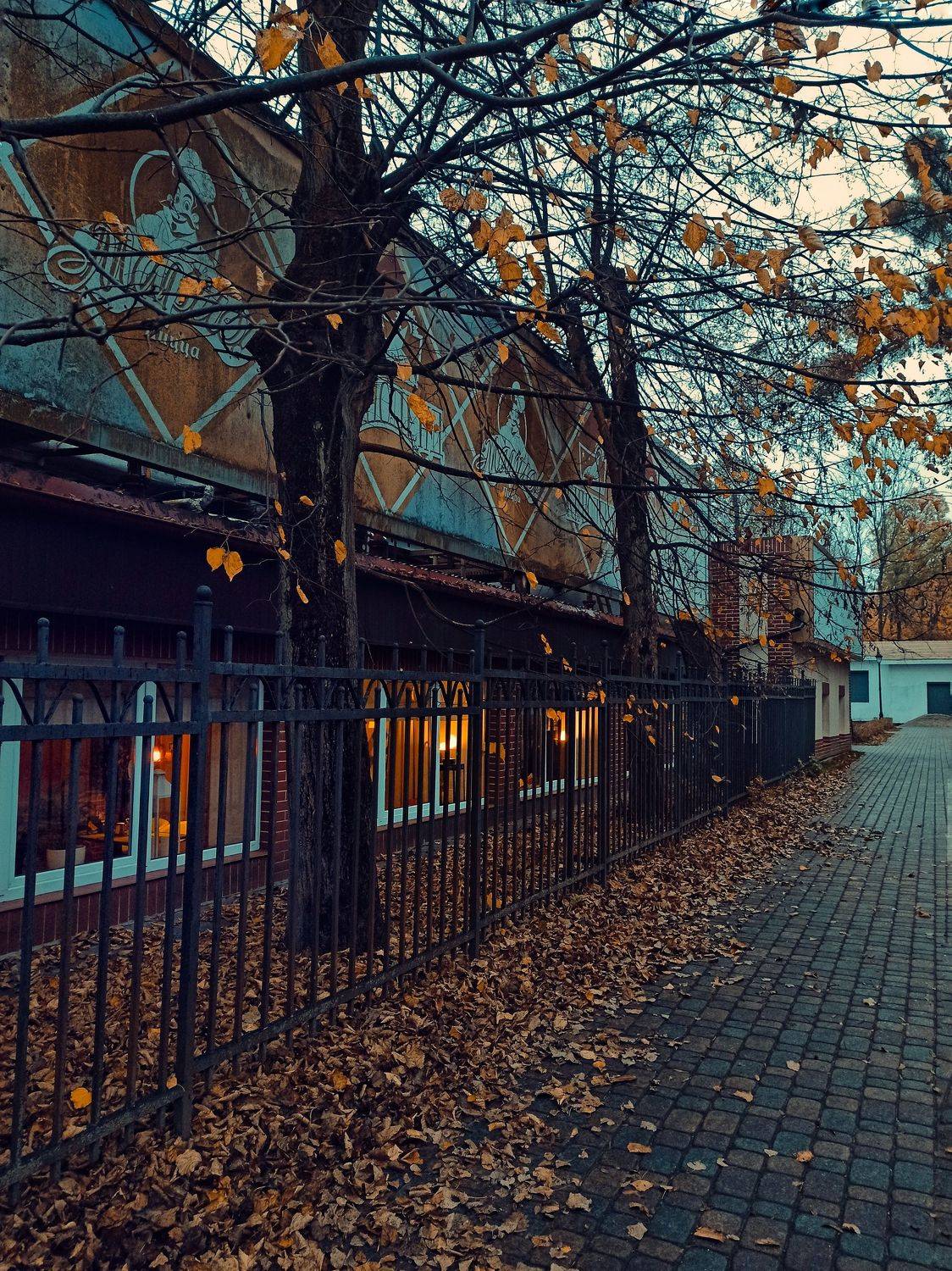 , Дина Полухина