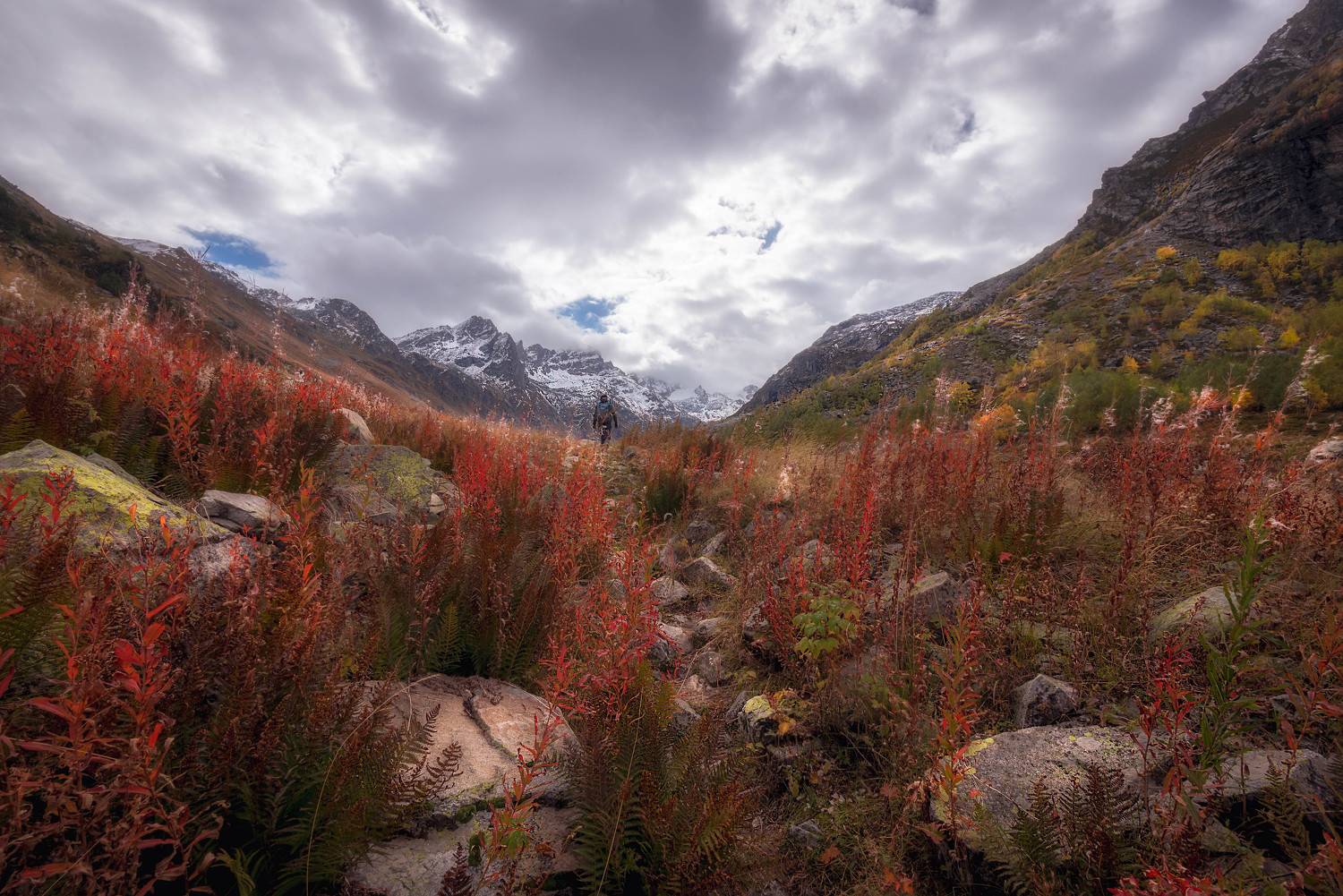 горы, золотая осень, Наргиза Кахарова
