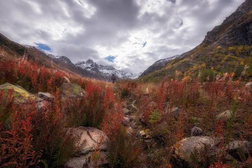 Красно-желтые дни в ущелье Чиринкол