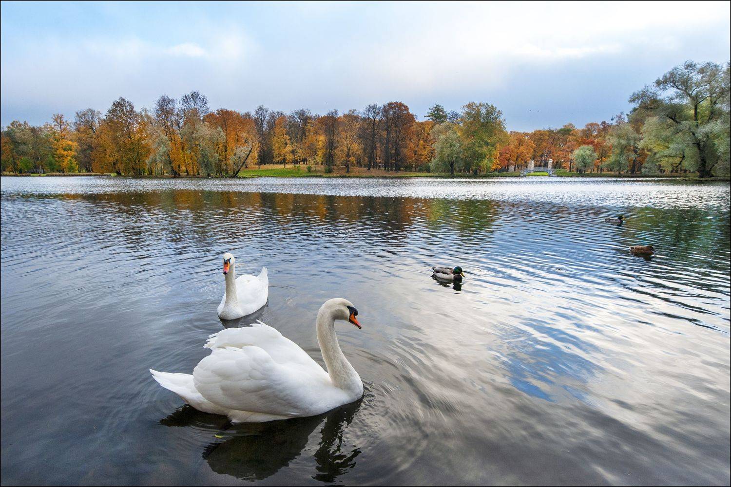 , Георгий Сапожников