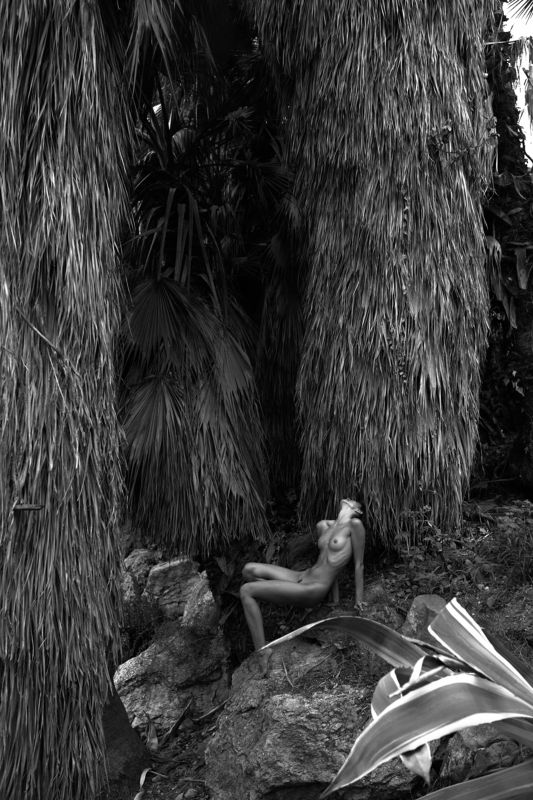 patreon.com/winderwind фото превью