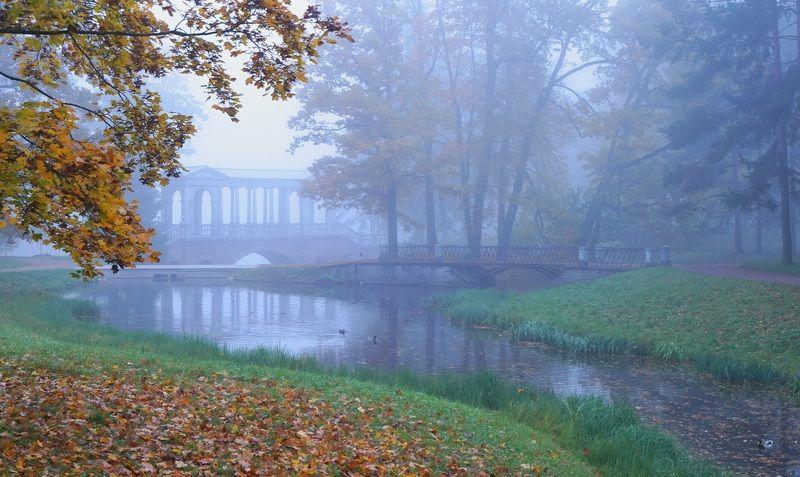 Autumn morning фото превью