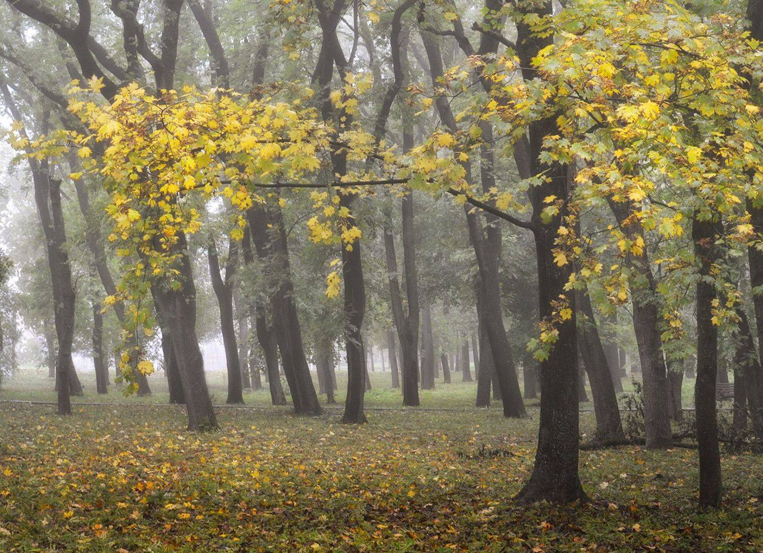 , Геннадий Чеботарев
