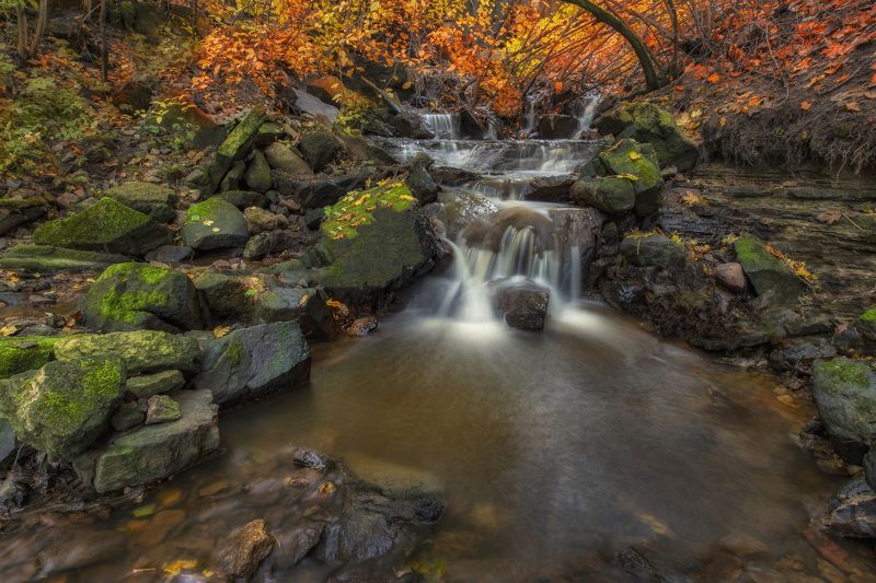 ****** фото превью