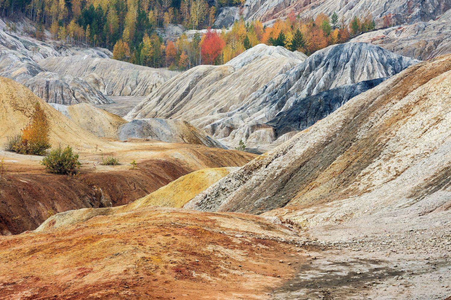 , Андрей Шарапов