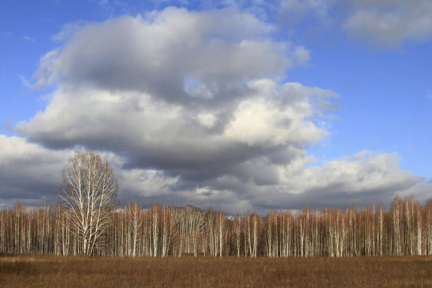 , Гагик Мхитарян