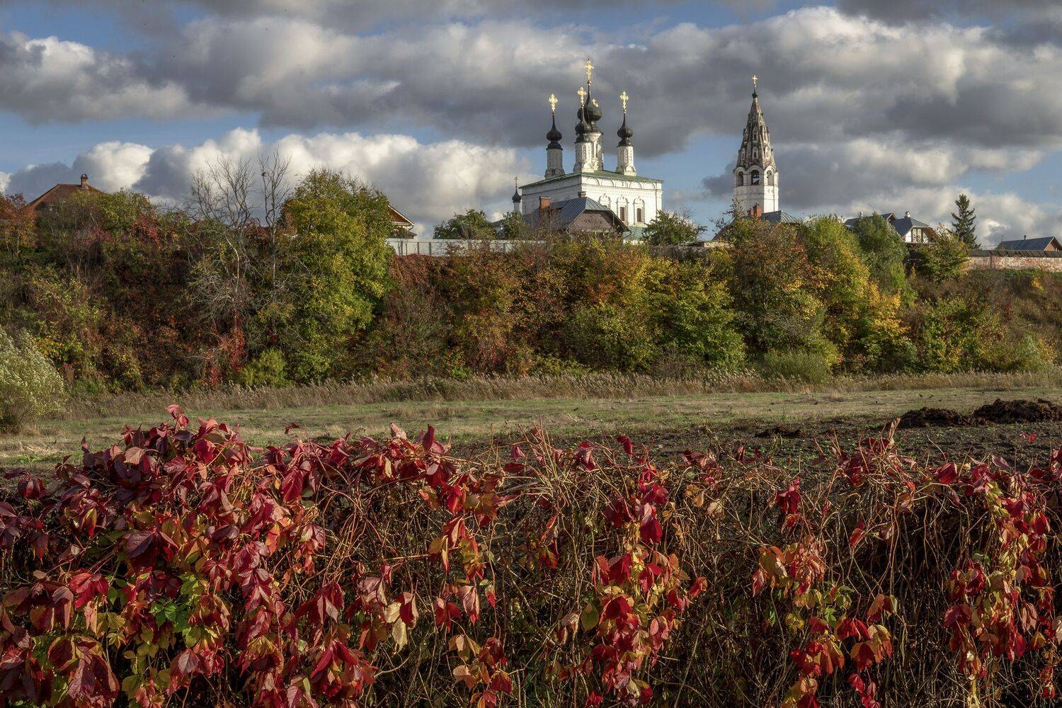 Владимирская область, Гусева Елена
