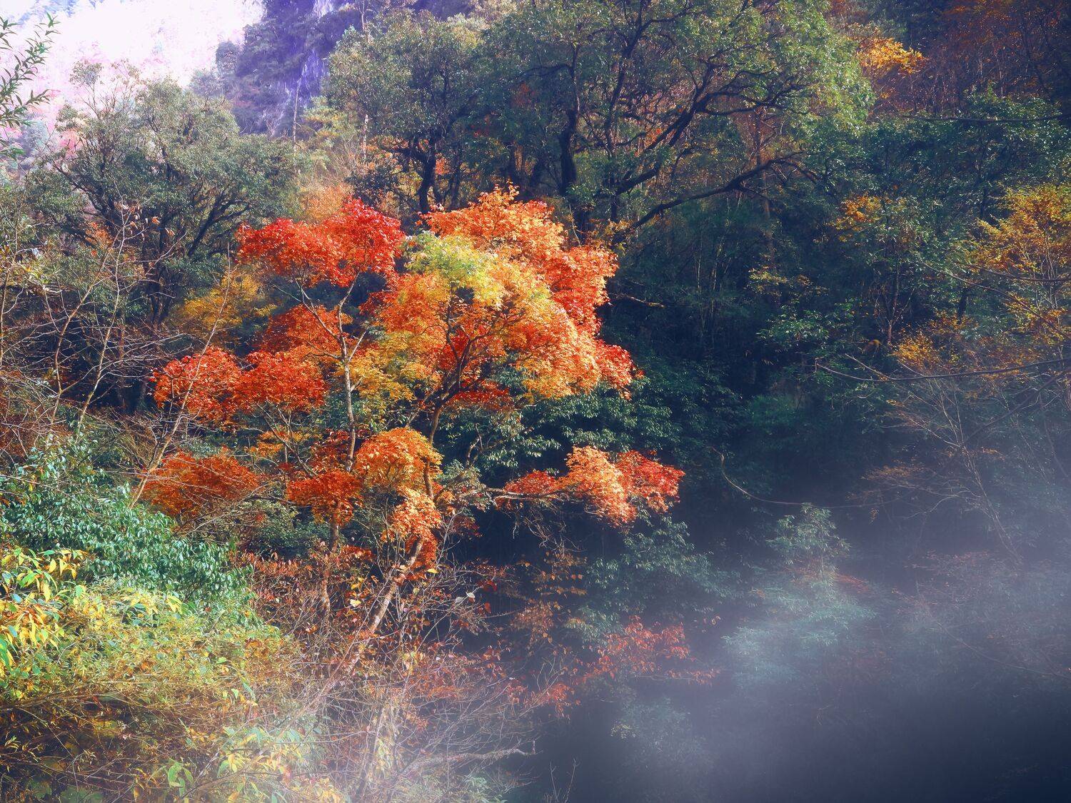 东不喇  秋, 吴 微雨墨烟鸿