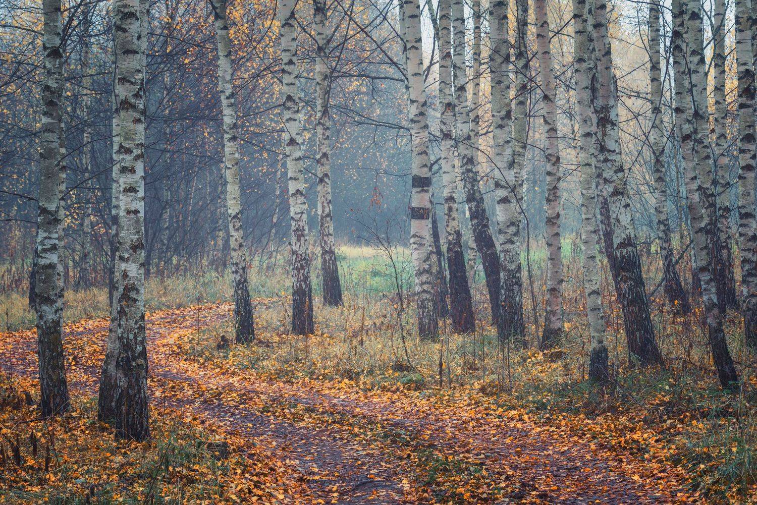 , Максим Евдокимов (phototourtravel.ru)