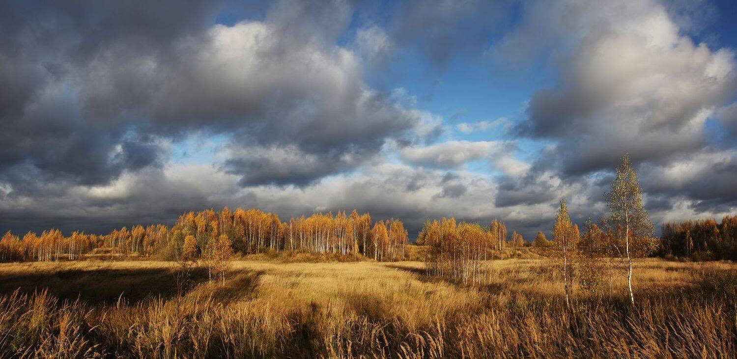 осень , поле , облака, Александр Свистков