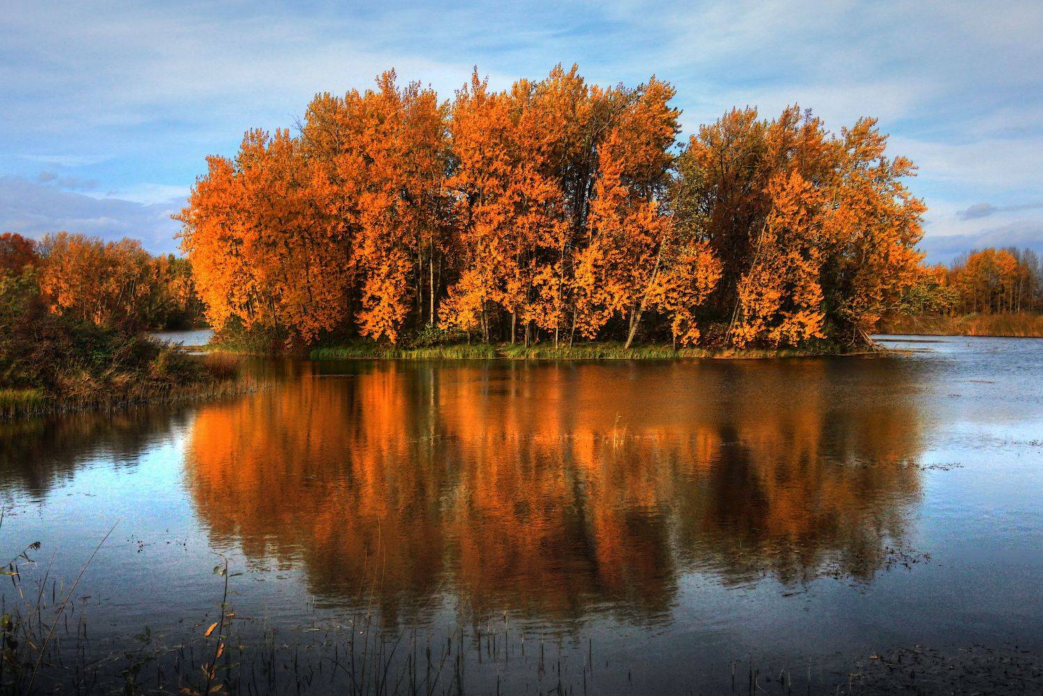 , Сергей Григорьев