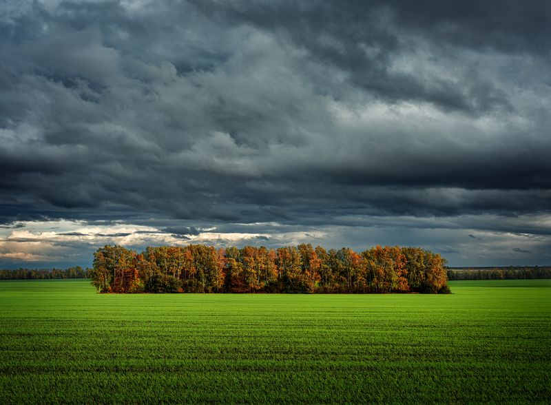 Про осенние контрасты. фото превью