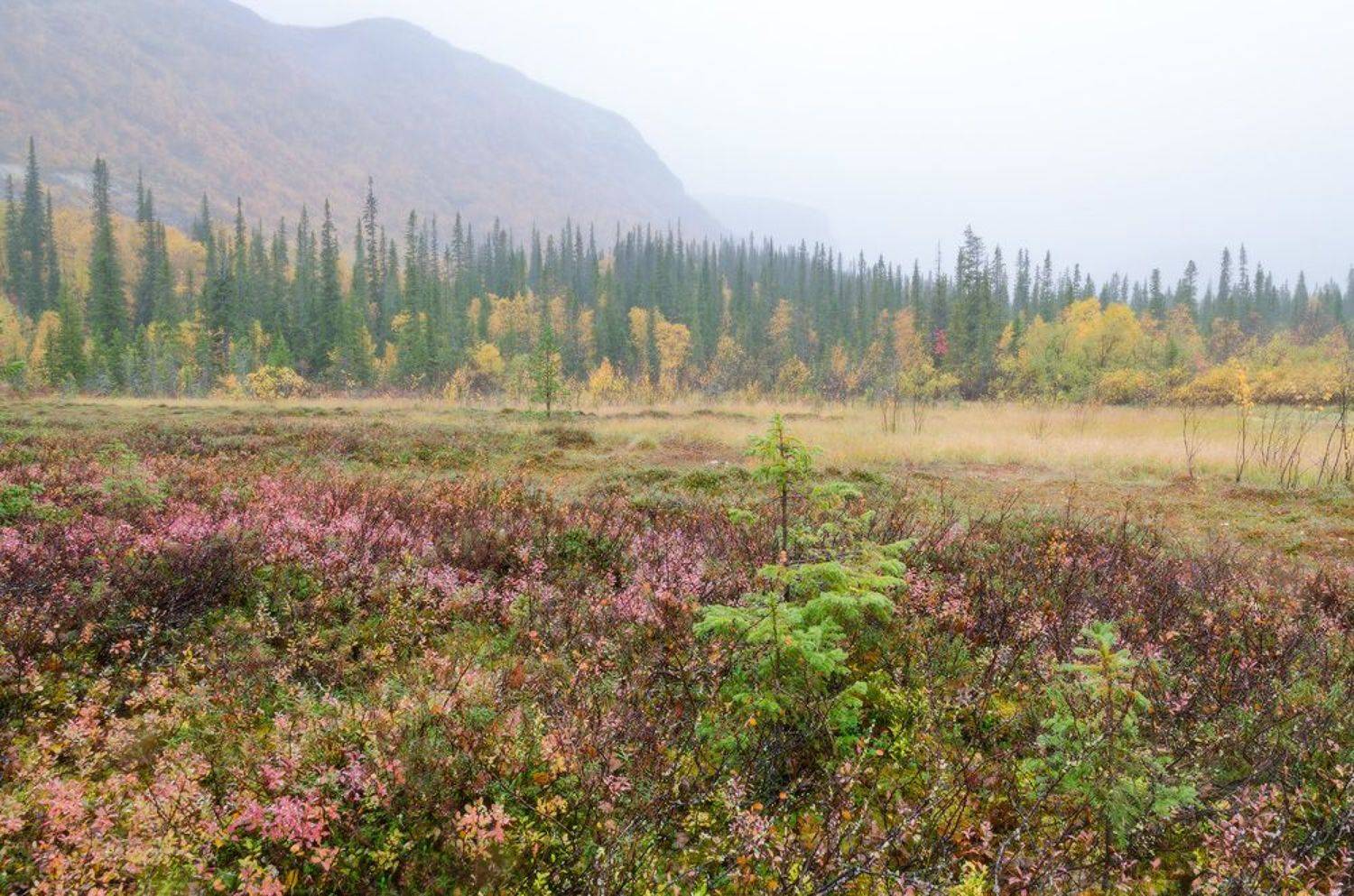 Сейдозеро, Юсупов Александр