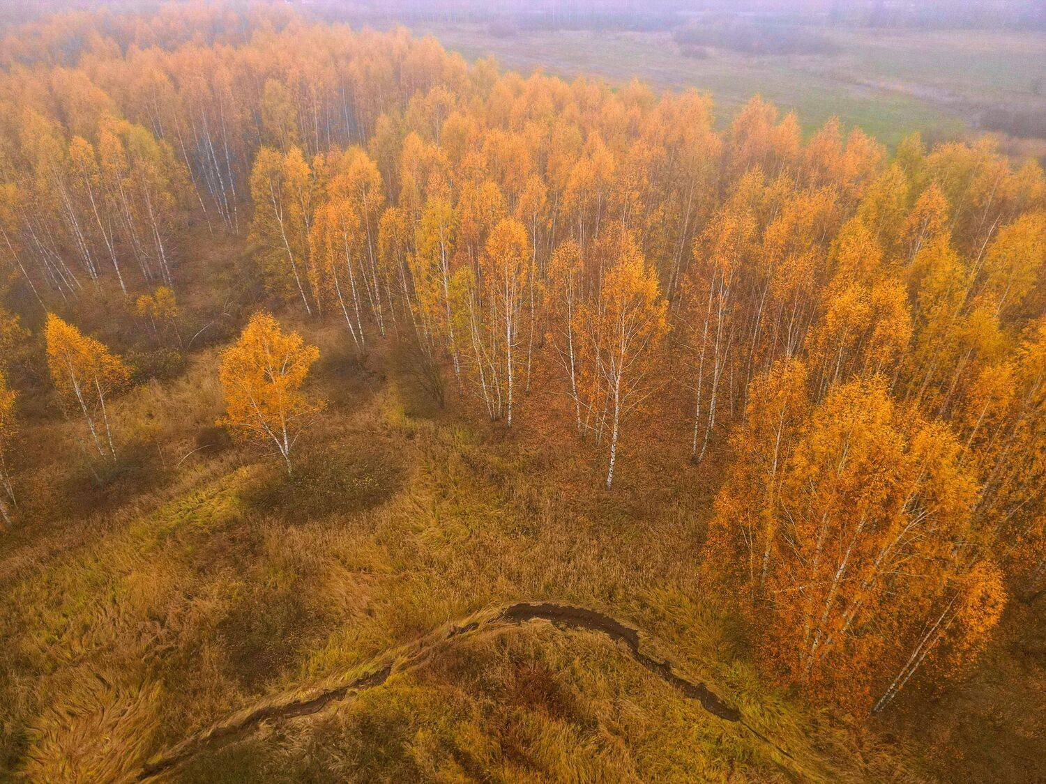 , Аседач Александр