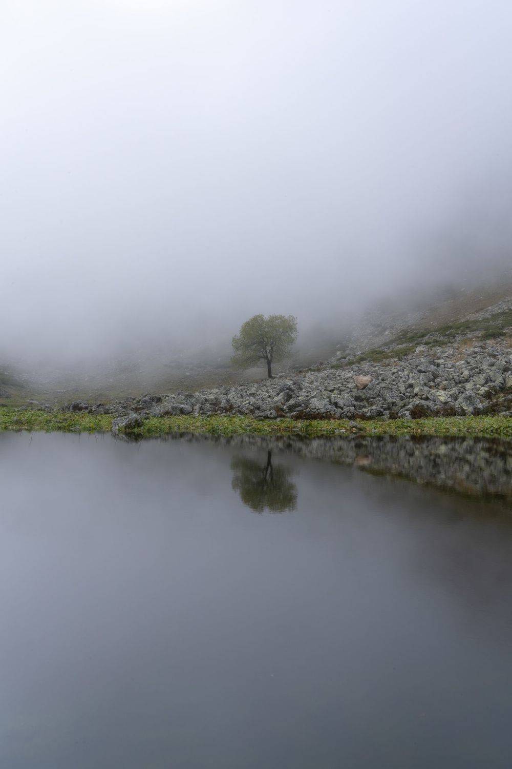 , Юлия Мальцева