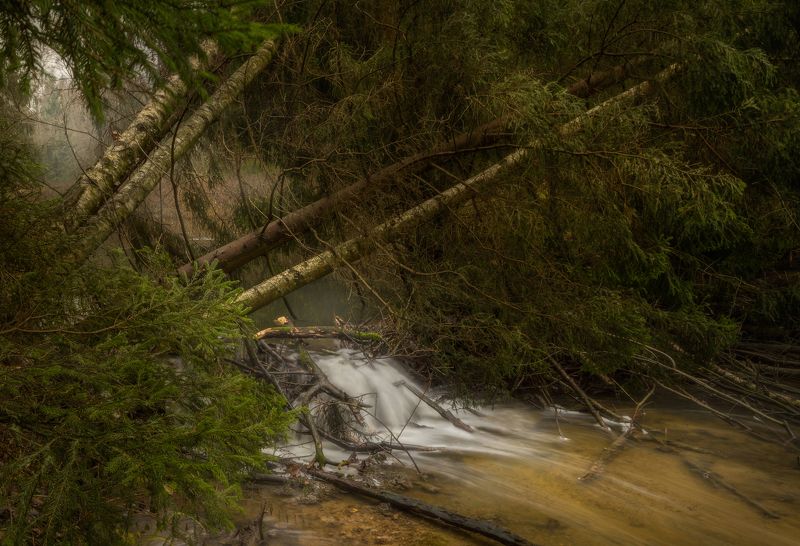 ручей, лес, водопад, осень  фото превью