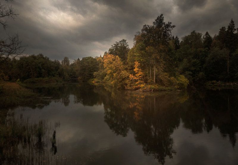 осень, озеро, лес, свет  фото превью