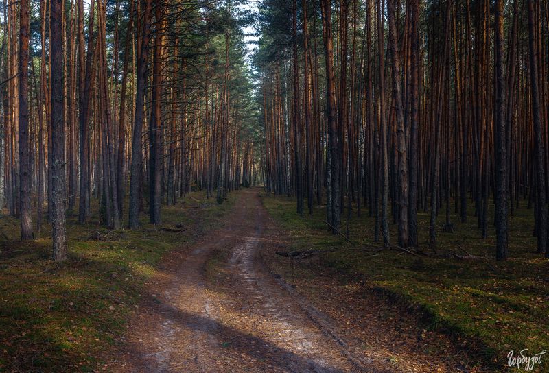 Нац Парк Угра. фото превью