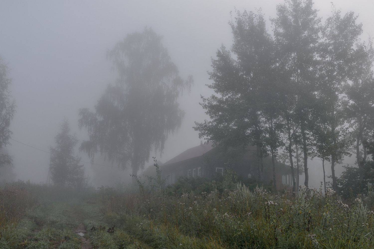 тверская область, Гусева Елена