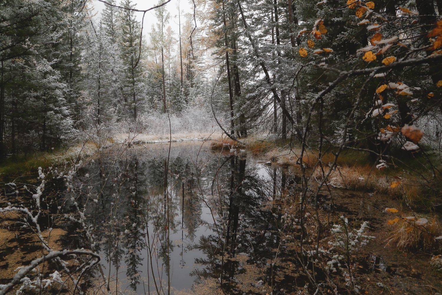 , Евгений Зинов