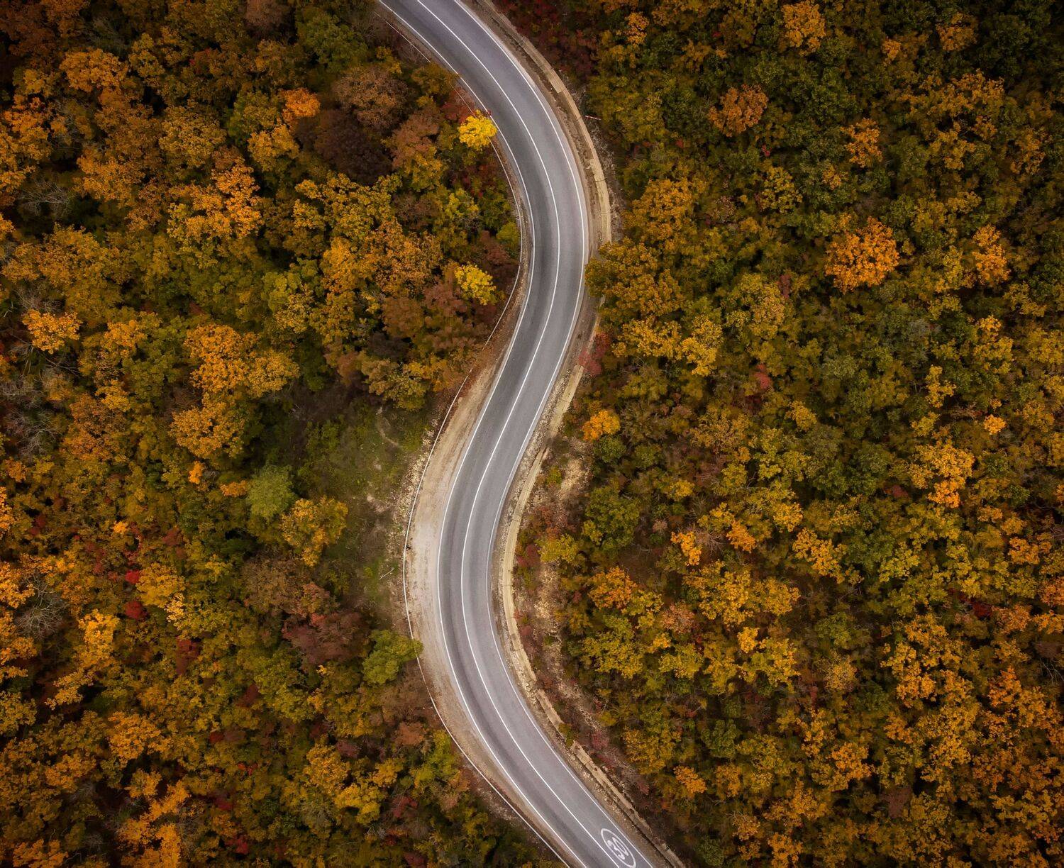 , Павел Сагайдак