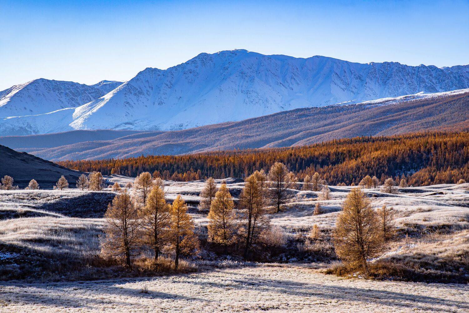 алтай. осень. горы., Евгений Дроботенко