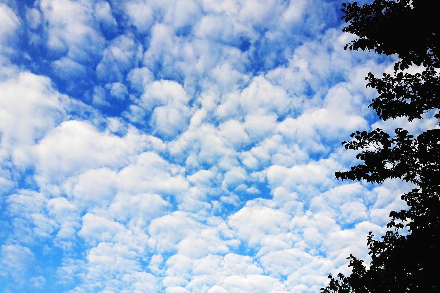 , mehdi karimi souderjani