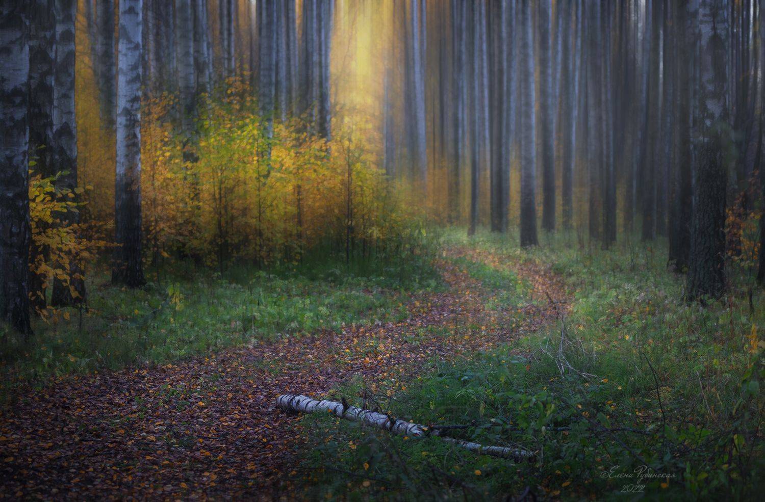 кострома, костромская область, пейзаж, Елена Рубинская