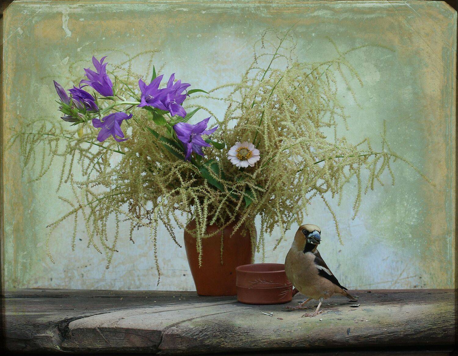 дубонос, Хромушин Олег