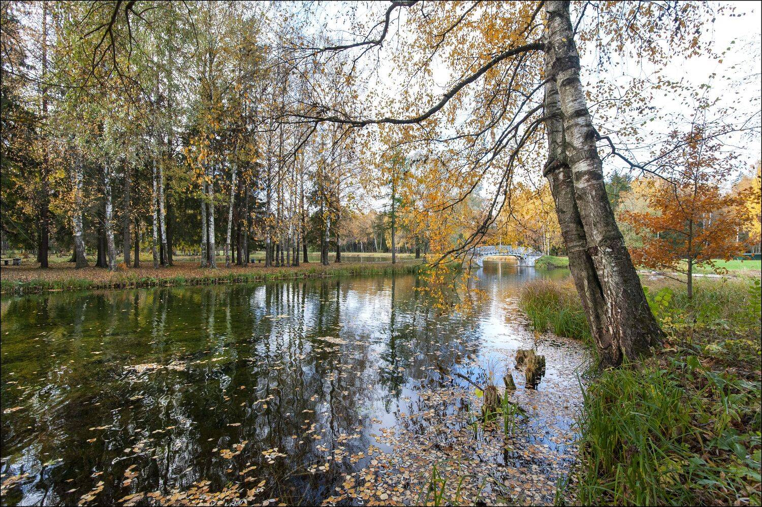 , Георгий Сапожников