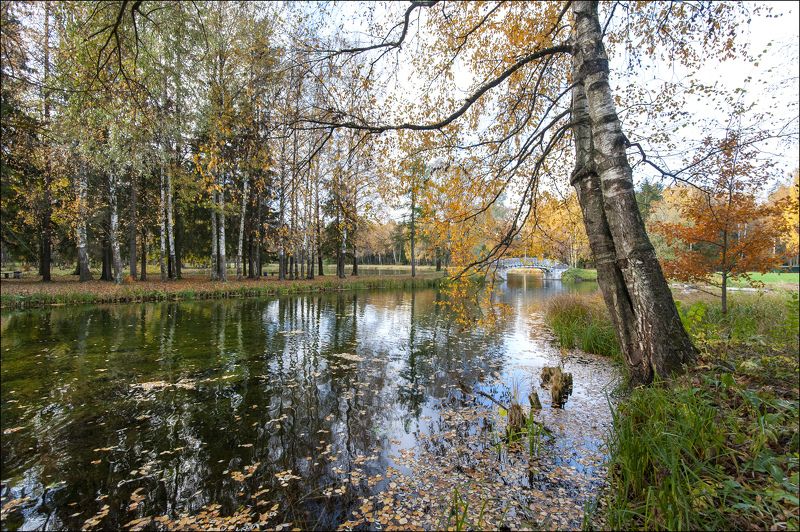 Тишина фото превью