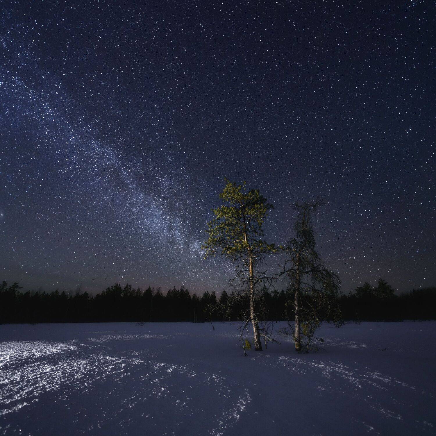 пейзаж, ночь, млечныйпуть, звёзды, ночнойпейзаж, зима, сосны, болото, landscape, milkyway, stars, nightscape, pine, winter, Иван Чаланов