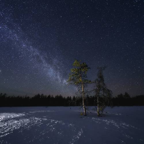 Ночь волков