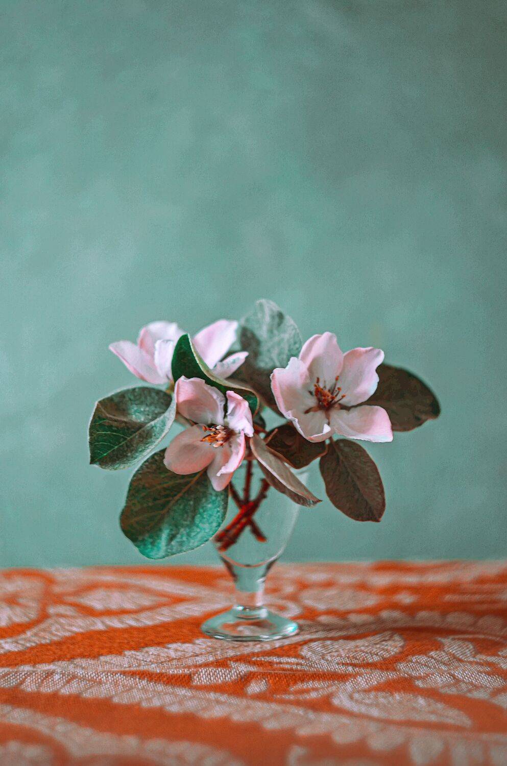 цветы, букет, айва, натюрморт, Shadow Anna