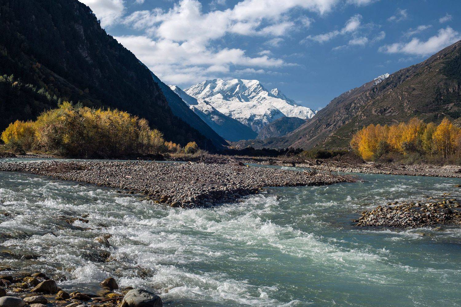 , Хасан Журтов